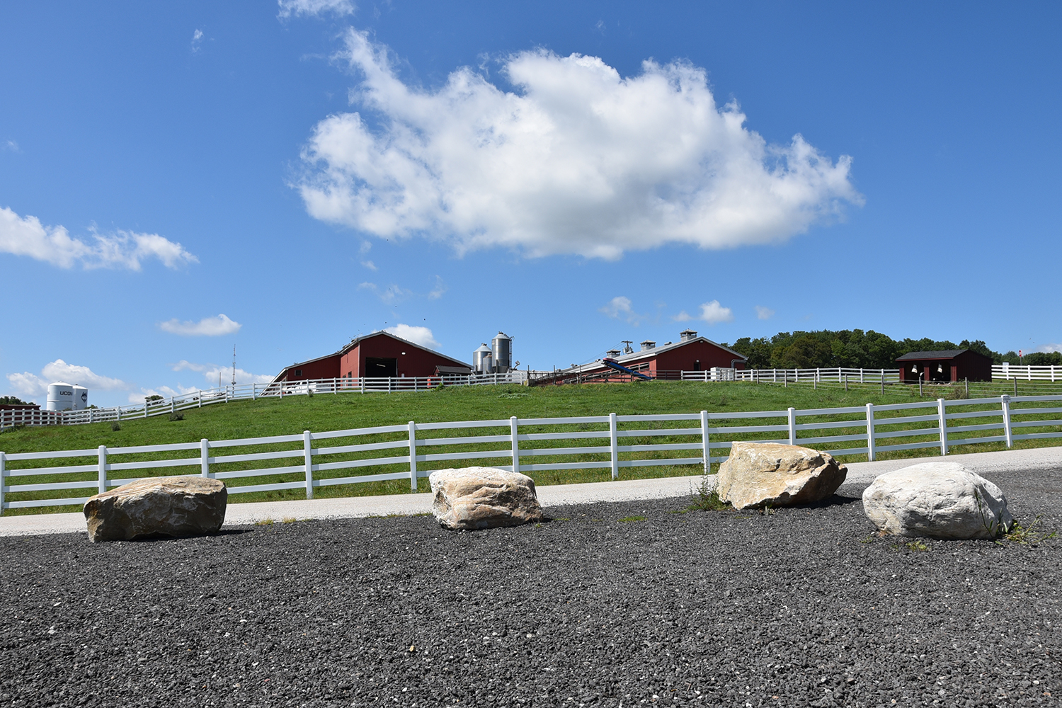 Kellogg Dairy Center Horsebarn Hill