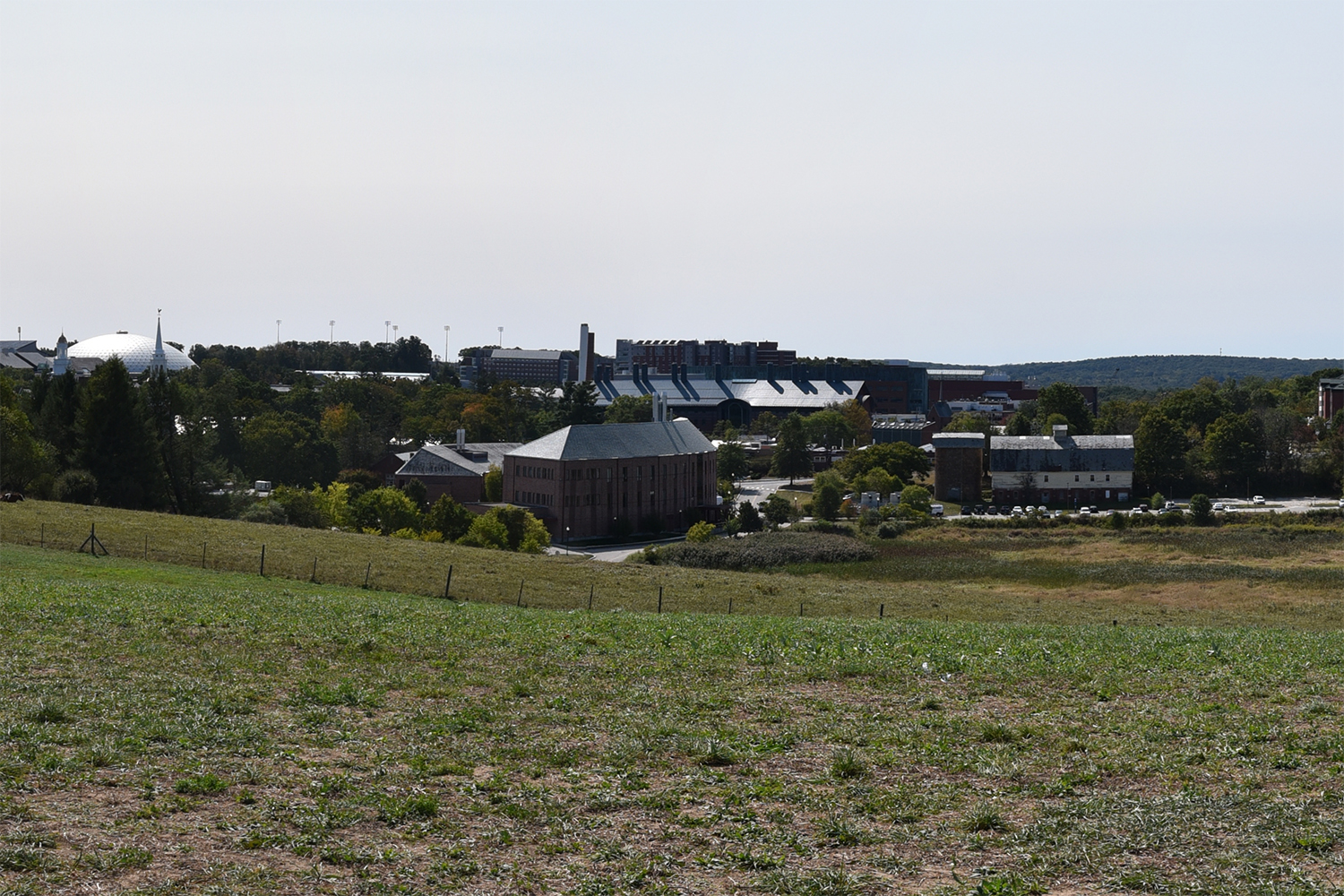A view from the top of Horsebarn Hill